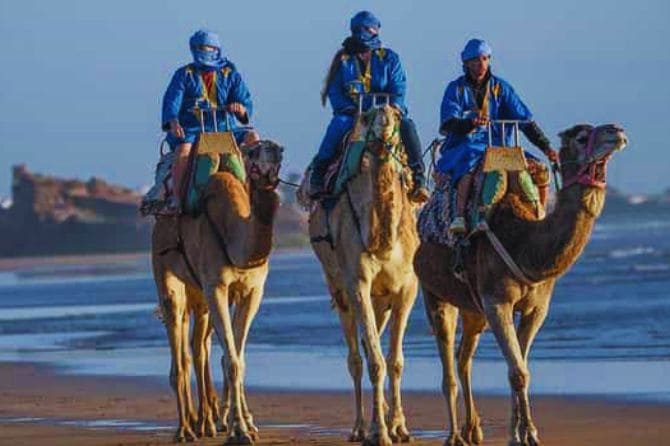 touriste ride camel in beach essaouira